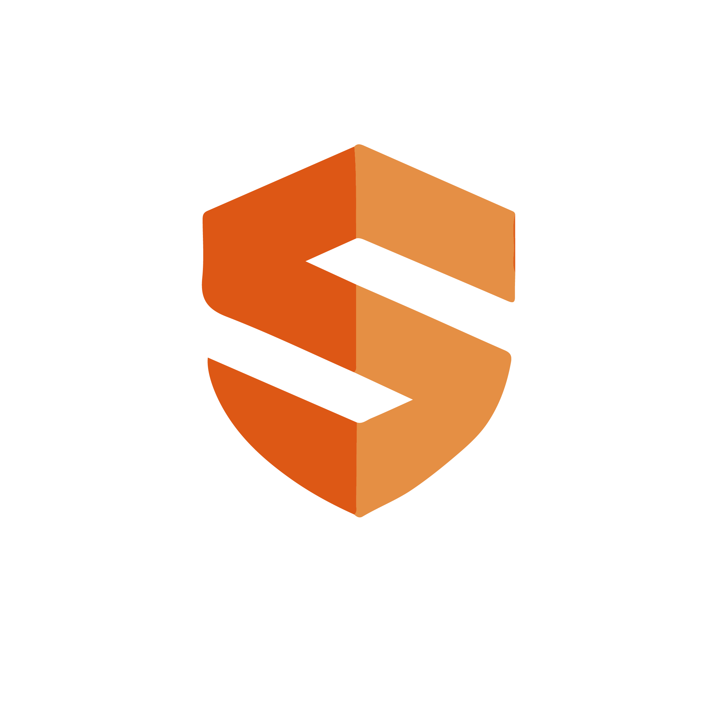 Logo SASSER